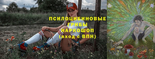соль ск Алексеевка