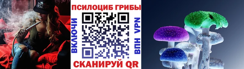 Псилоцибиновые грибы Psilocybe  Купить где  Усолье-Сибирское 